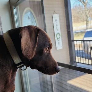 Meet your Posher, Isaiah